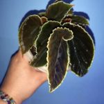Darthvaderiana
