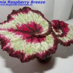 Raspberry Breeze