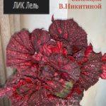 ЛИК-Лель